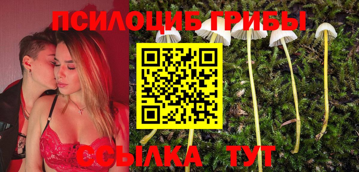 Белая Калитва  Галлюциногенные грибы MAGIC MUSHROOMS  Вход с VPN 
