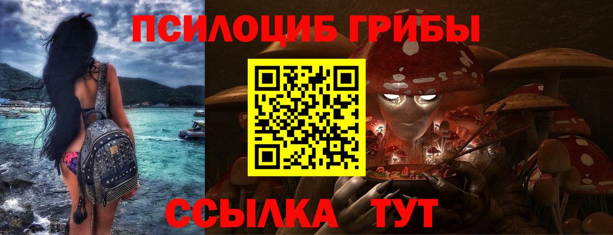 Псилоцибиновые грибы GOLDEN TEACHER Белая Калитва
